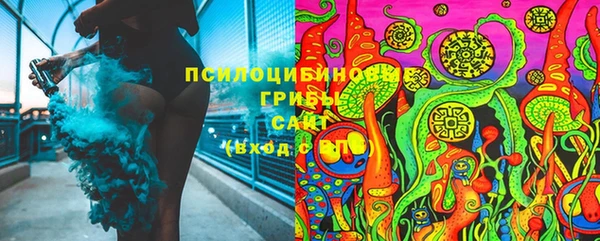 прущая мука Армянск