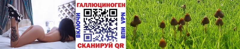 Галлюциногенные грибы мицелий  Питкяранта 